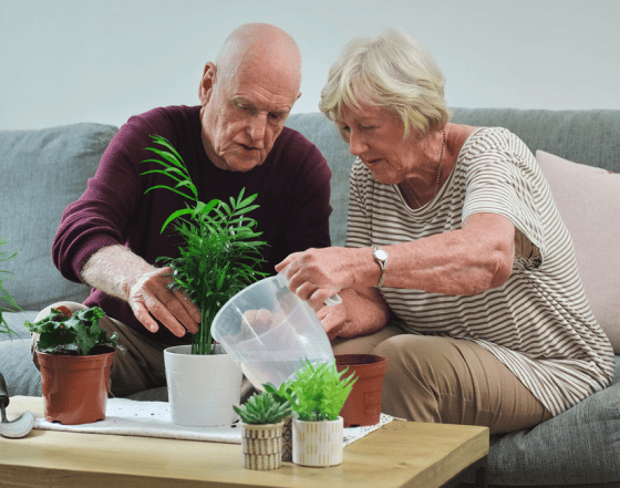 An old couple watering a plant together indoors